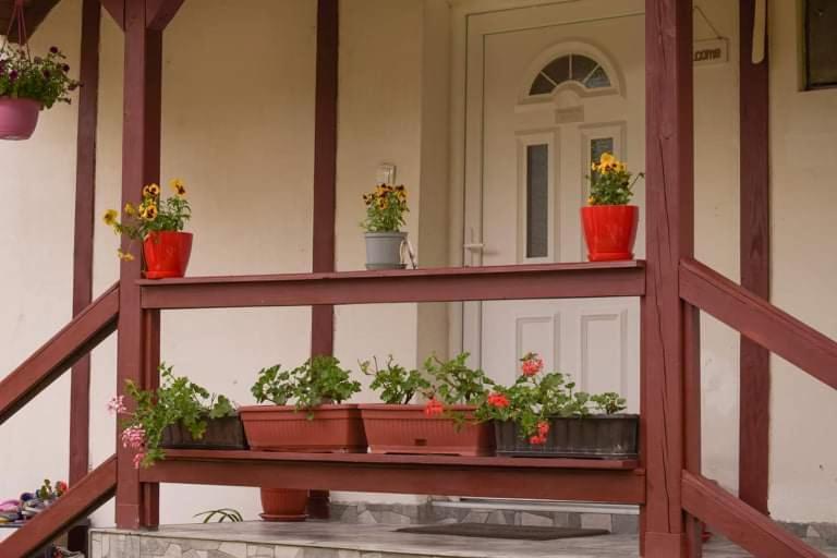 Apartment Dil Кулен Вакуф Экстерьер фото